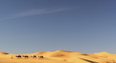 merzouga, Fas içinde deve karavan