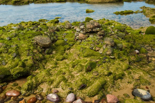 stock image Legzira beach