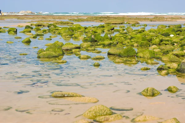 Strand von legzira — Stockfoto