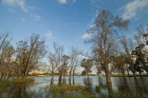 Stock image Spring flooding