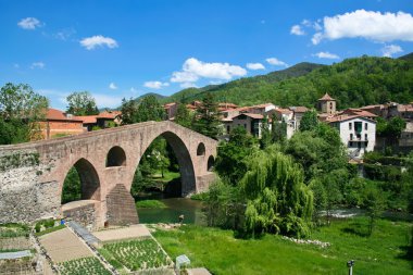 Sant Joan De Les Abadesses