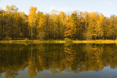 sonbahar orman yakın göl