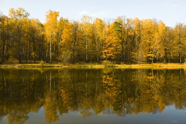 湖の近くの秋の森 — ストック写真