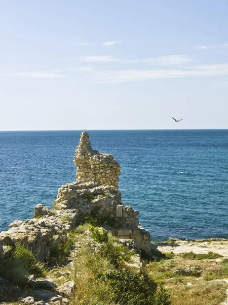 Gabbiano di mare su rovine, il Crimea — Foto Stock