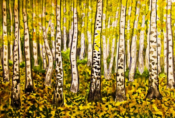 손으로 그린 그림, 노란 자작나무 숲 — 스톡 사진