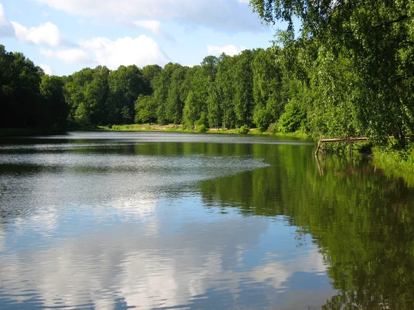 Lake in summer — Stock Photo, Image