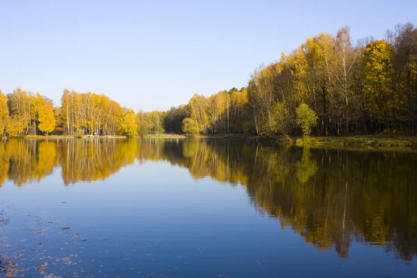 秋の風景、湖および森林 — ストック写真