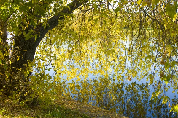 stock image Autumn