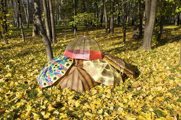 Осінь, парасольки — стокове фото