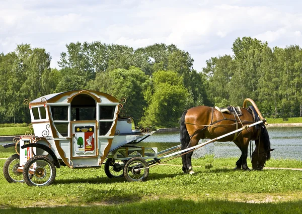 Häst med vagn — Stockfoto