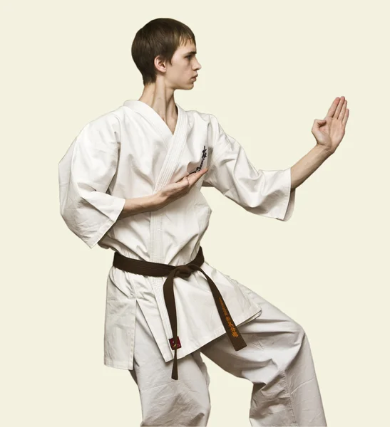 stock image Karateka