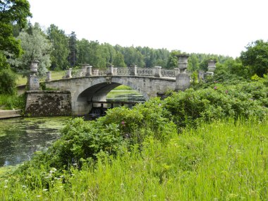 Pavlovsk, Rusya Federasyonu