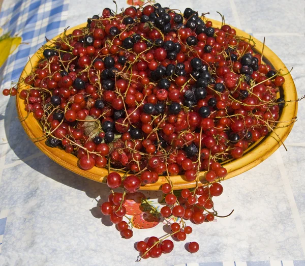Placă cu fructe de padure — Fotografie, imagine de stoc