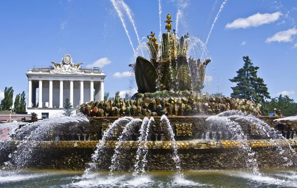 Moscow, fountain in main national exhibition centre — Stock Photo, Image
