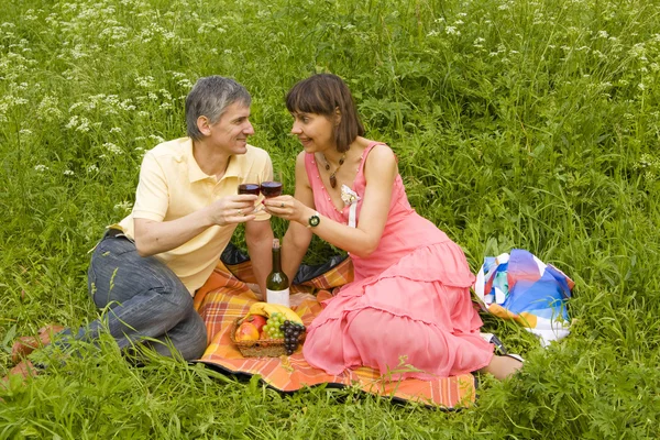 Giovane coppia su picnic — Foto Stock