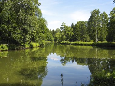 Pavlovsk, Rusya Federasyonu