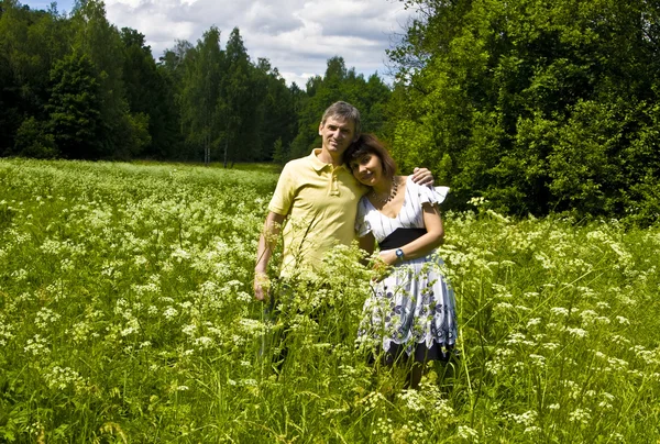 夏天草地上的情侣 — 图库照片