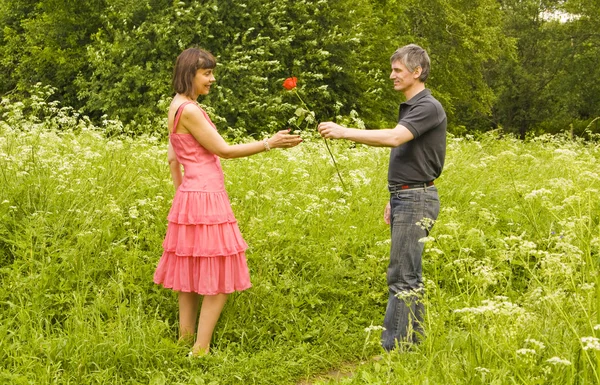 Hombre joven presenta rosa roja a mujer joven — Foto de Stock