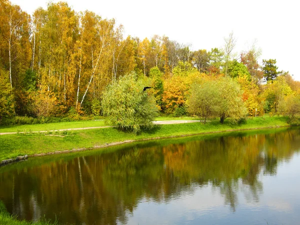 秋、森林および湖 — ストック写真