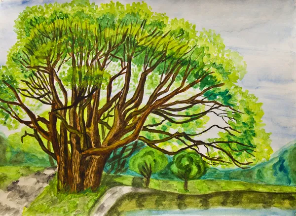 Vrba velký strom, malování — Stock fotografie