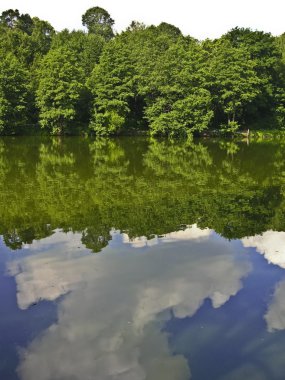 ağaçlar, su ve bulutlar