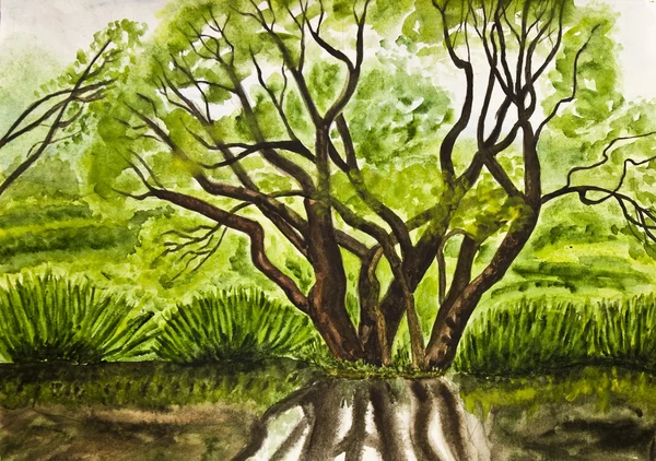 Árvore, pintura — Fotografia de Stock