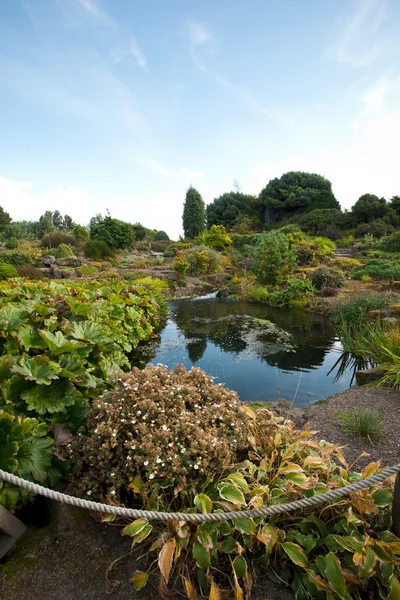 Botanic Garden — Stock Photo, Image