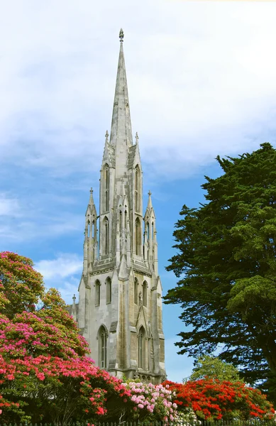 Catedral em flores — Fotografia de Stock