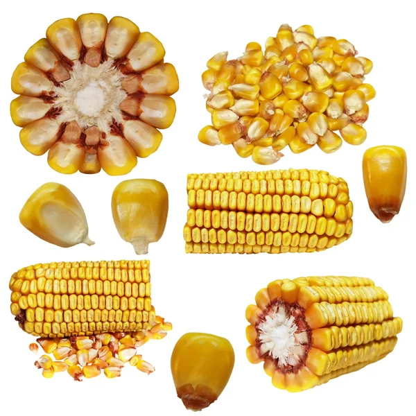 Установить кукурузу на белом фоне — стоковое фото