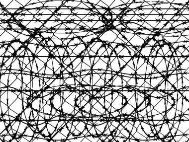 dikenli tel çit koruma için arka plan beyaz izole