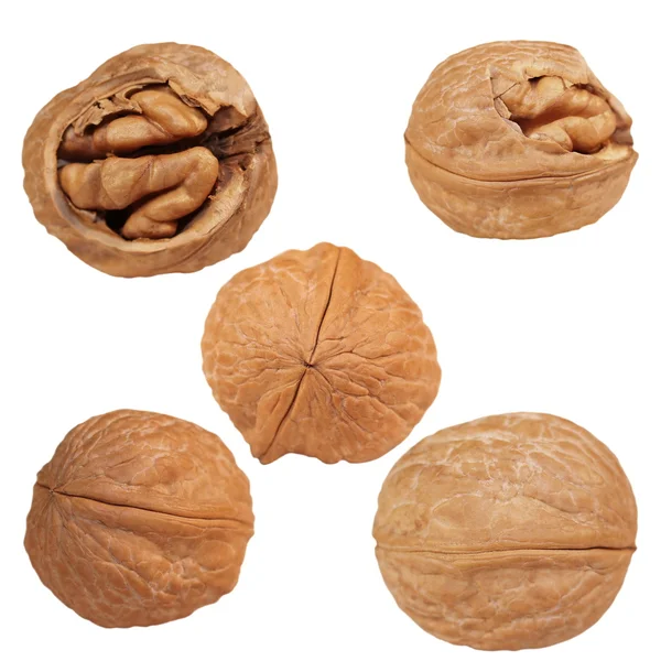 Набор грецких орехов и растрескавшийся орех изолированы на белом фоне — стоковое фото