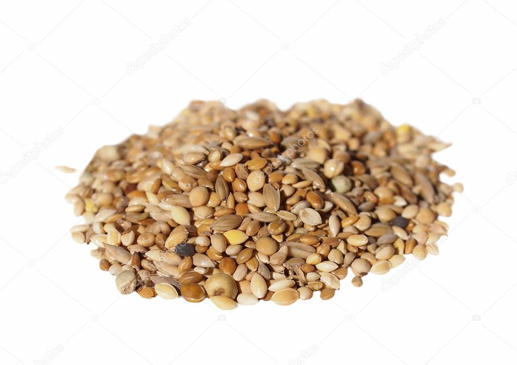 Pile mixed bird feed for exotic birds isolated on white