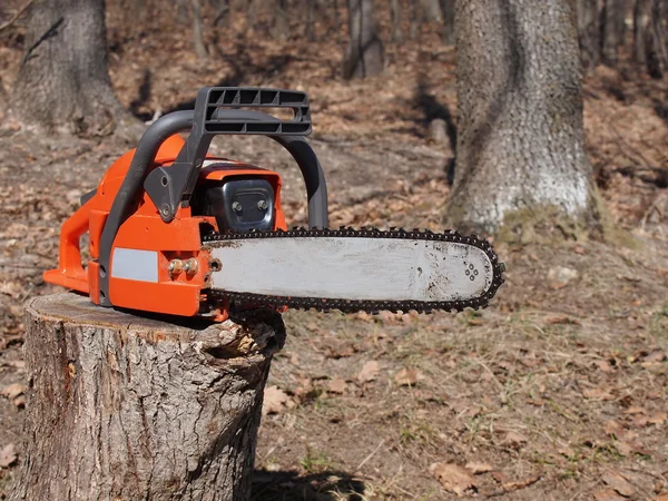 stock image Chainsaw in forest