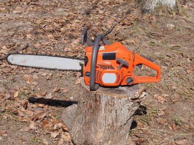 Turuncu chainsaw ve woods