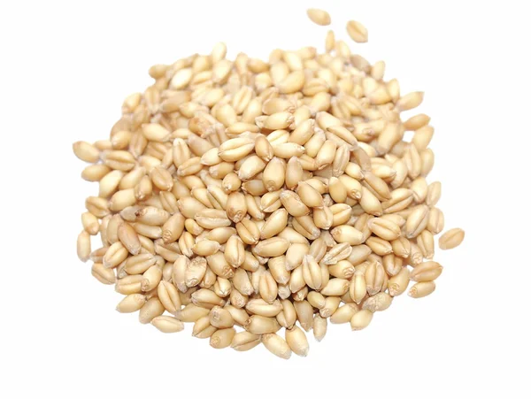 Grãos de trigo macro isolados em branco — Fotografia de Stock