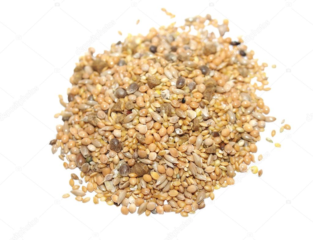 Pile assorted seed for exotic birds isolated on white background