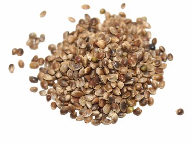 Hempseed isolated on white clipart