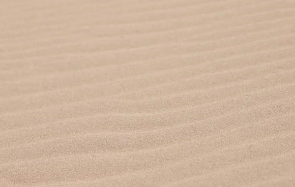 Sivatag homokja háttér és textúra — Stock Fotó