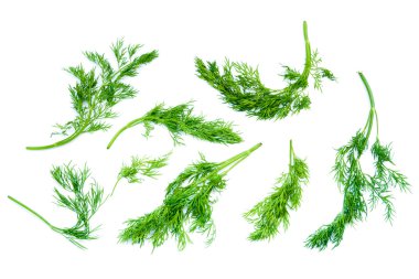 Dill collection clipart