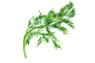 Dill.