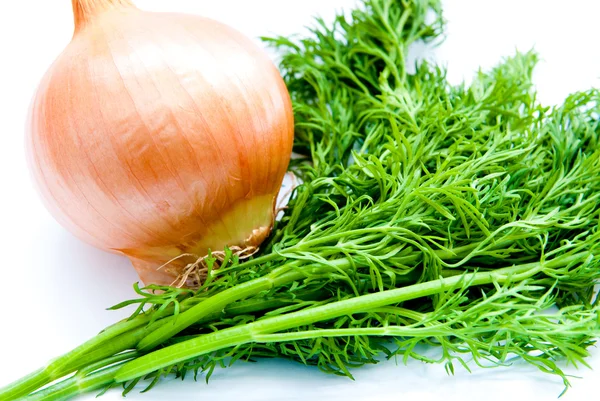 Dill and onion — Stock Photo, Image