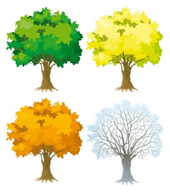 Tree at four seasons