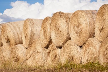 Stack of hay bales drying outdoors clipart