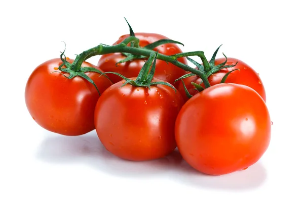Fresh vine ripened tomatoes — Stock Photo, Image