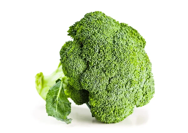 stock image Broccoli isolated on white