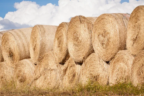 Stack of hay bales drying outdoors — Stock Photo, Image