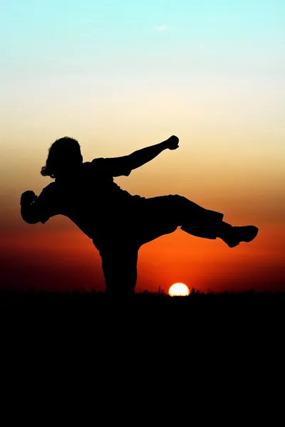 Pôr do sol artes marciais — Fotografia de Stock
