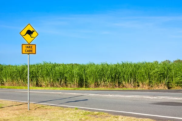 Kangaroo road warning sign — Stock Photo, Image