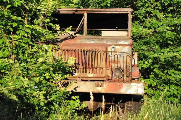 Старый автомобиль в лесу — стоковое фото