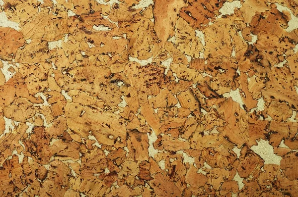stock image The background of natural cork